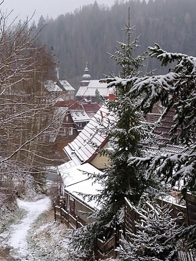 Ferienappartement Potthoff 2 -Hund Willkommen- Altenau  Exterior foto
